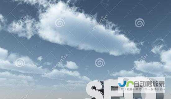 打造专业形象，提升企业品牌价值：定制专属企业网站方案