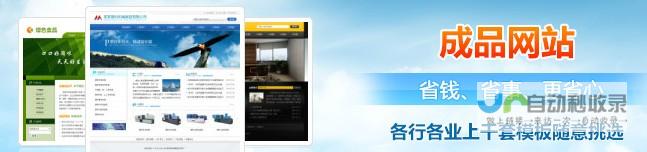 网站制作全面指南：打造专业、高效、引人入胜的网络平台