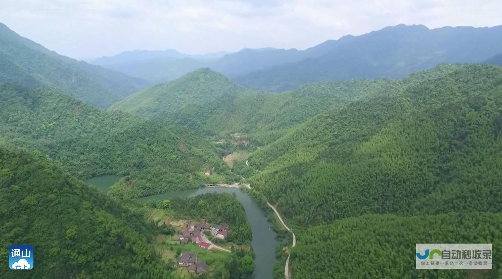 通山网：洞察通山，连接未来