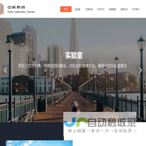 中实系统