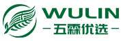 五霖科技